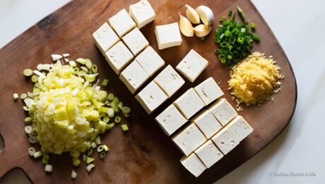 Chinese Mapo Tofu – A spicy Sichuan dish with tofu and minced meat