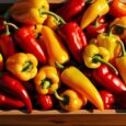 sweet pointed peppers box