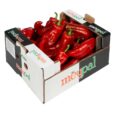 Sweet Pointed Red Peppers 3kg
