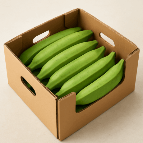 Green Plantain Box Case