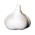 Three fresh garlic cloves on white background – natural premium garlic 3‑pack
