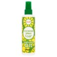 Pump bottle of Sunflower Oil Cooking Spray 190ml