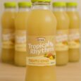 opical Rhythms Pineapple Ginger Drink 475ml Bottle – Caribbean Fruit Beverage